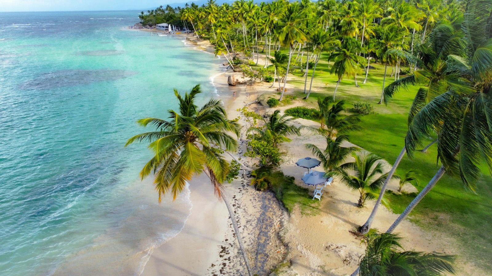 Vista aérea de una playa bordeada de palmeras y agua turquesa en Samaná, República Dominicana