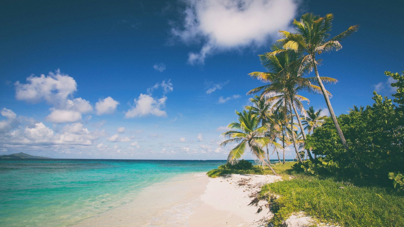 Playa tropical de arena blanca con palmeras y mar turquesa