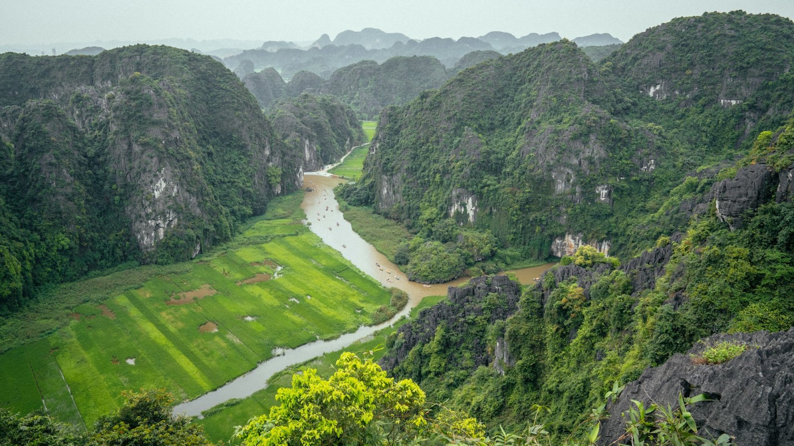 Río serpenteando entre arrozales y montañas kársticas de Tam Coc, Ninh Binh, Vietnam