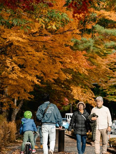 Abuelos, padre y nieto paseando bajo árboles de otoño