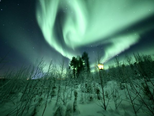 Aurora boreal sobre un bosque nevado de Rovaniemi, Laponia finlandesa