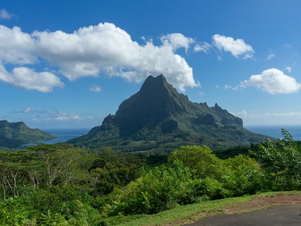 Monte Rotui entre la selva de Moorea, Polinesia Francesa