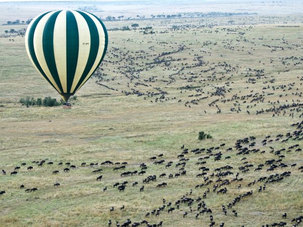 Masai Mara viaje familiar