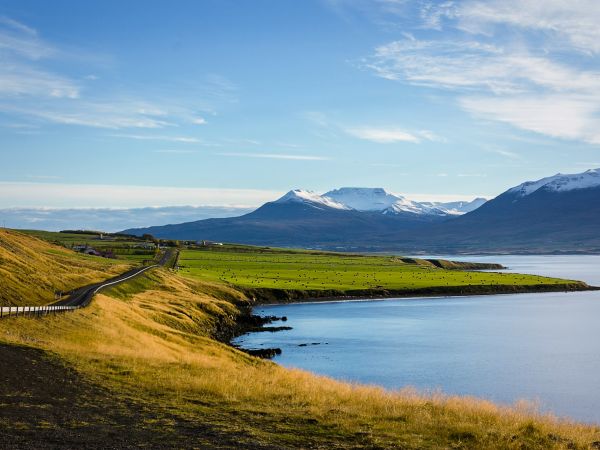 Carretera junto a un fiordo verde en Islandia en verano