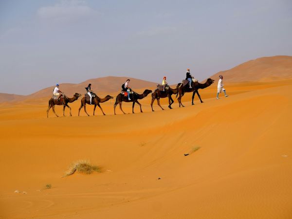Caravana de camellos en las dunas de Merzouga, Marruecos