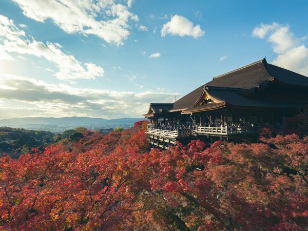 Templo Kiyomizu-dera rodeado de arces rojos en otoño, Kioto