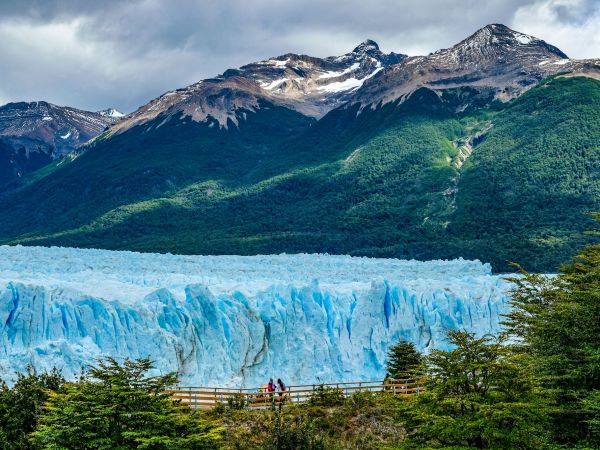 Frente del glaciar Perito Moreno visto desde las pasarelas del bosque, El Calafate, Argentina