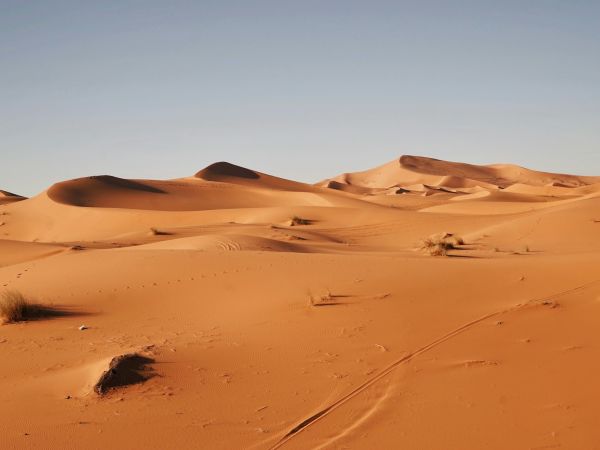 Dunas doradas del Sahara en Marruecos