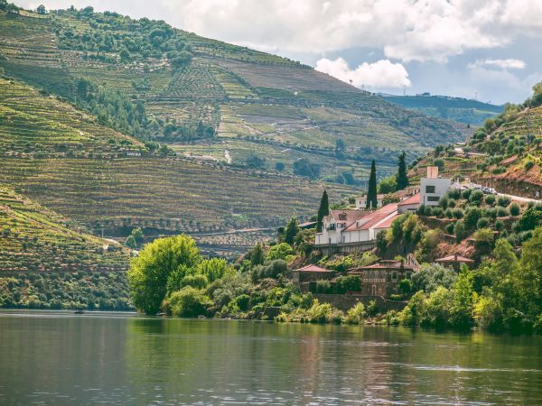 Valle del Douro