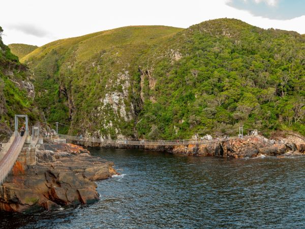 Puente colgante sobre la desembocadura del río Storms en el Parque Nacional Tsitsikamma, Garden Route, Sudáfrica