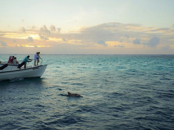 Excursiones de atardecer viaje familiar