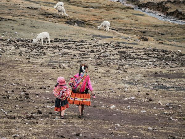 Madre e hija con trajes andinos junto a alpacas en los Andes de Perú