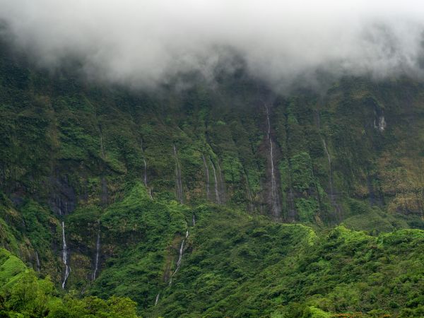 Decenas de cascadas descendiendo por las montañas cubiertas de selva en Tahití