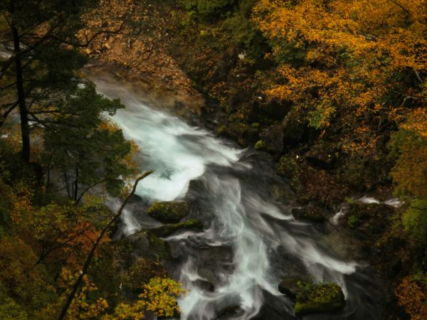 Cascada entre bosques de otoño en Nikkō, Japón