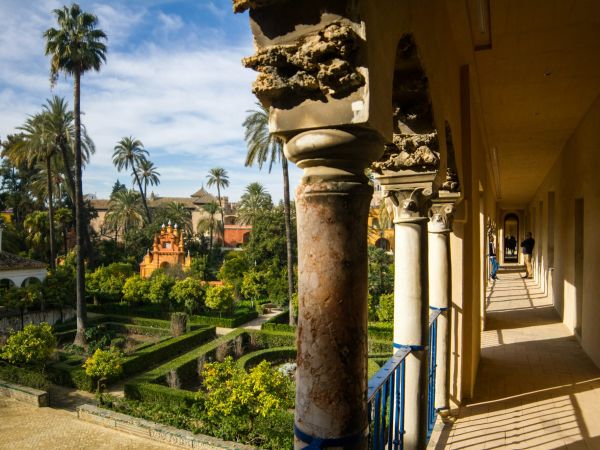 Galería y jardines con palmeras del Real Alcázar de Sevilla, España