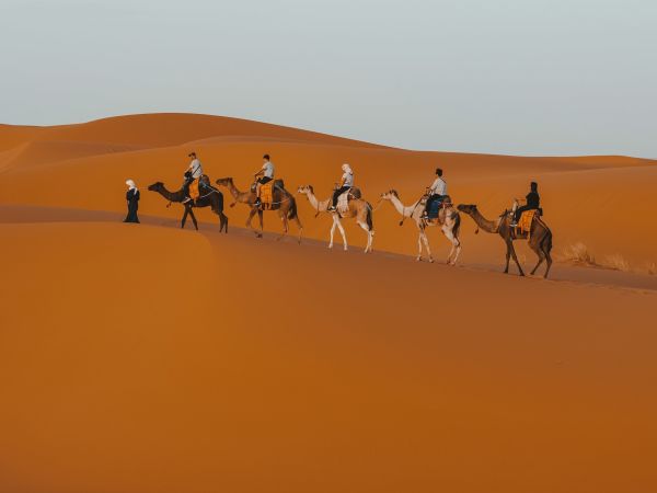 Caravana de camellos en las dunas del Sahara, Marruecos
