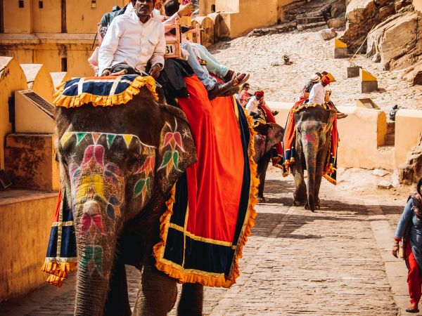 Elefantes engalanados en el Fuerte Amber de Jaipur, Rajastán