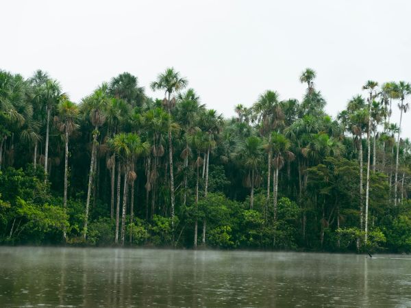 Amazonía peruana viaje familiar
