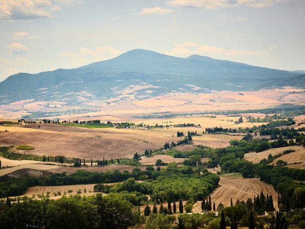 Colinas doradas del Val d'Orcia en la Toscana
