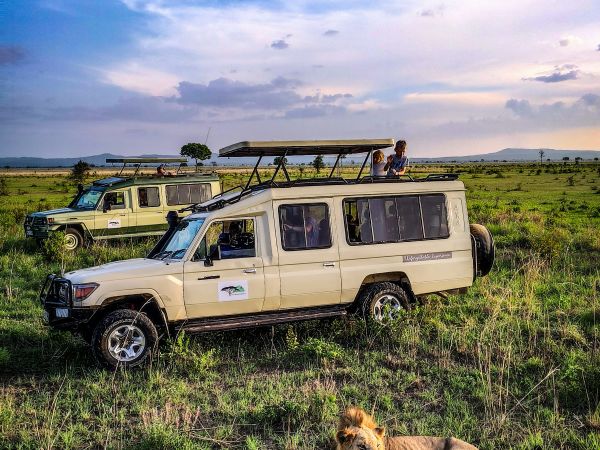 Serengeti viaje familiar