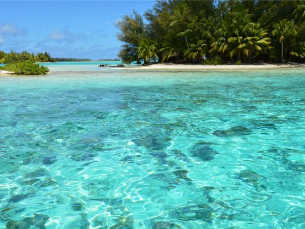 Agua turquesa y transparente junto a un motu con palmeras en Bora Bora