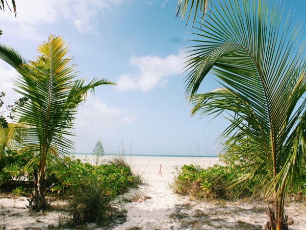 Sendero entre palmeras hacia una playa de arena blanca en Eleuthera, Bahamas