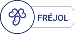 Manual de Frejol