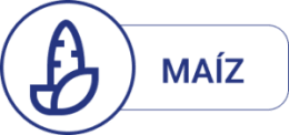 Manual de Maíz