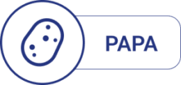 Manual de Papa