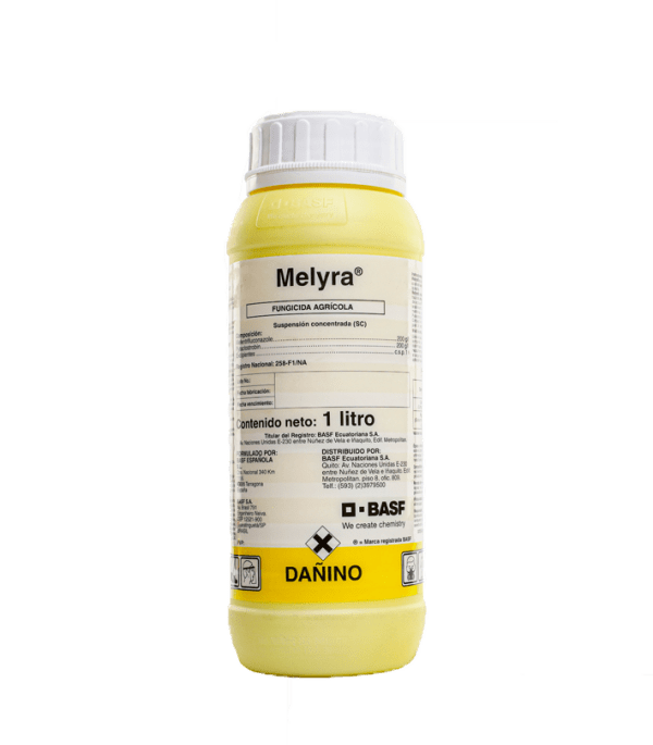 Melyra