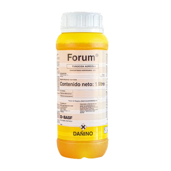Forum DC
