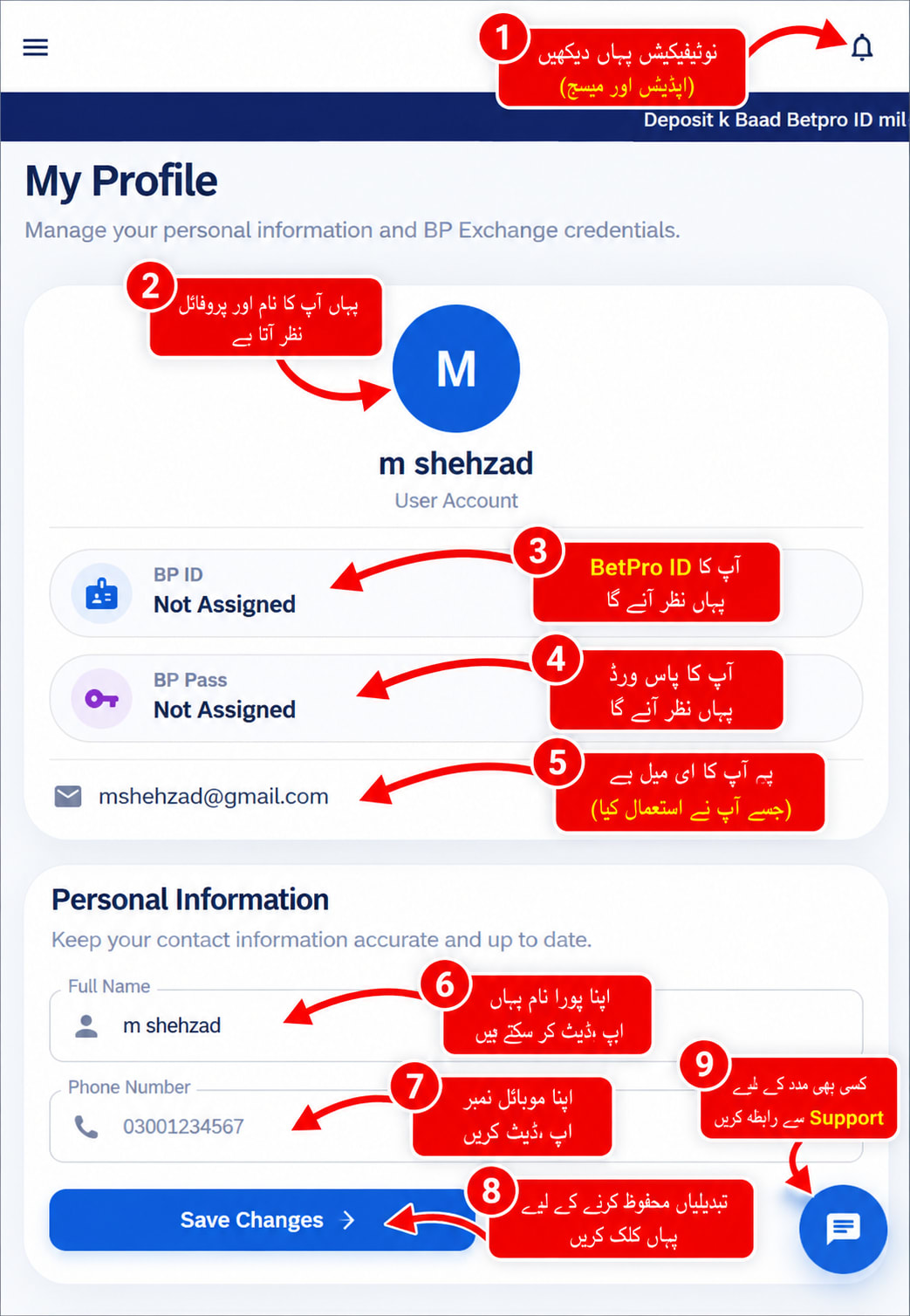 BetPro Exchange profile page - how to update personal information