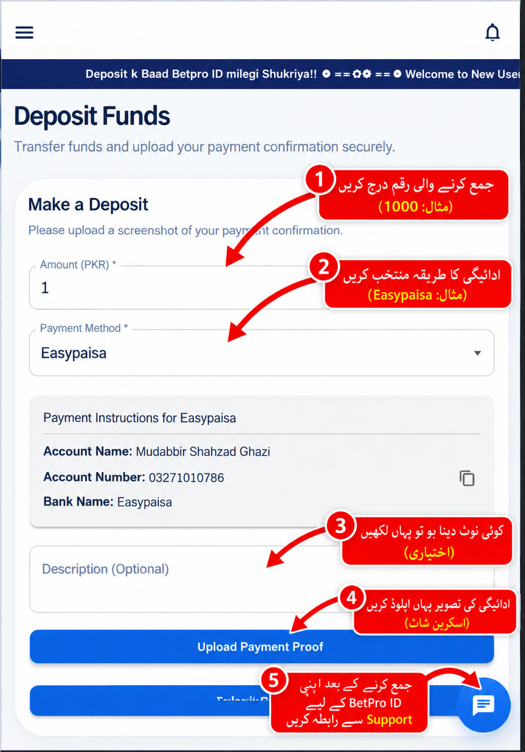 BetPro Exchange withdraw funds form - step-by-step field guide