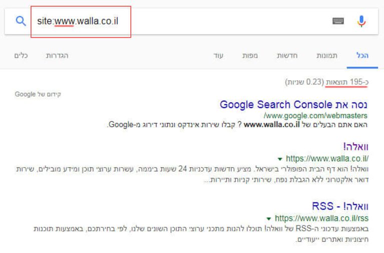 בדיקת ניראות אתר בגוגל