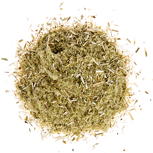 Herbata górska dzika 10x1g