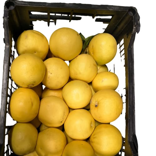Grejpfrut 1kg