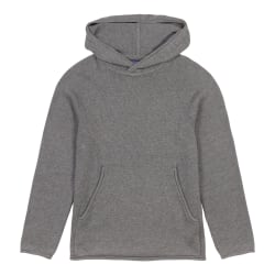 used Patagonia Worn Wear-M's Ponderosa Pine Pullover Hoody-Noble Grey--50865-XS