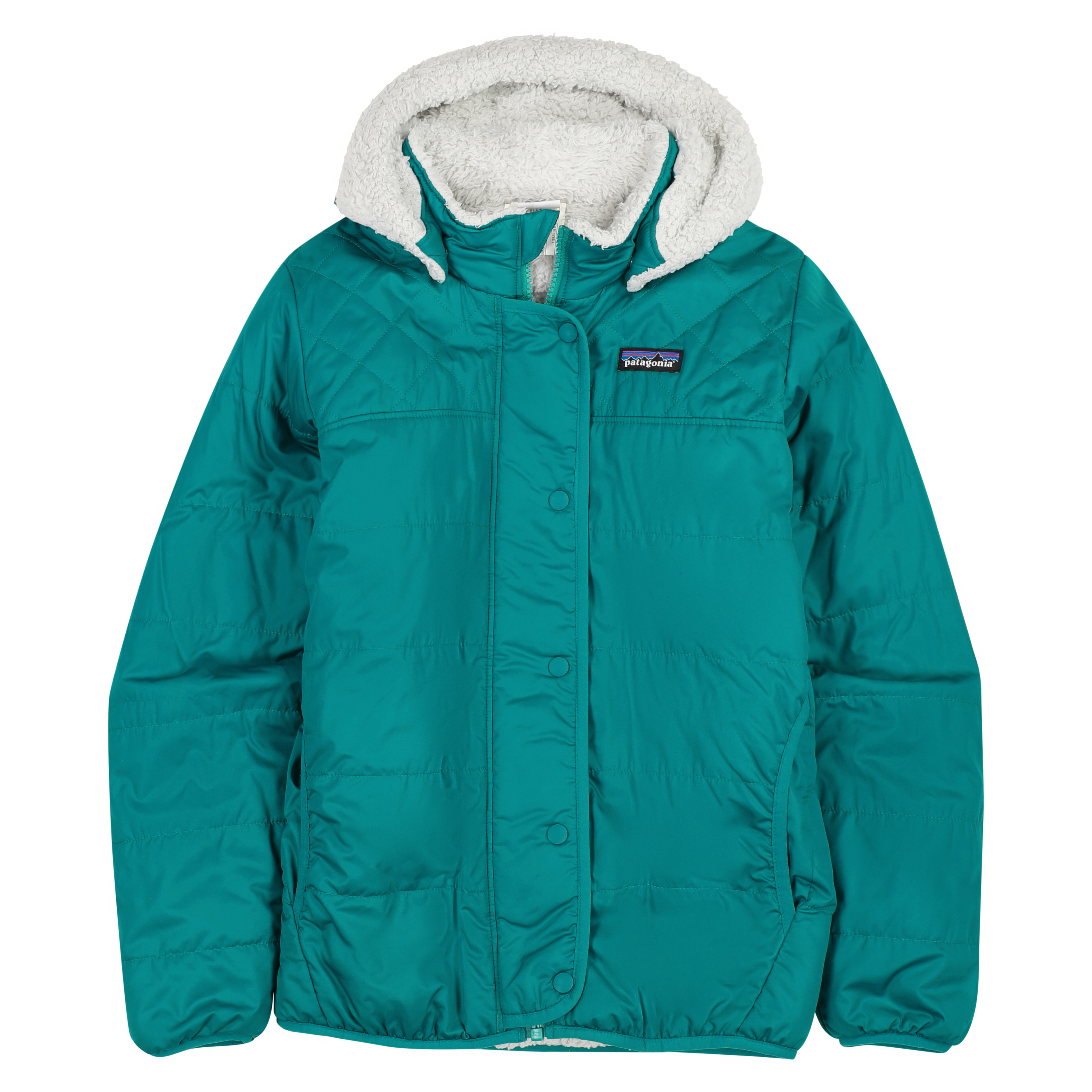 patagonia reversible dream song hooded down jacket