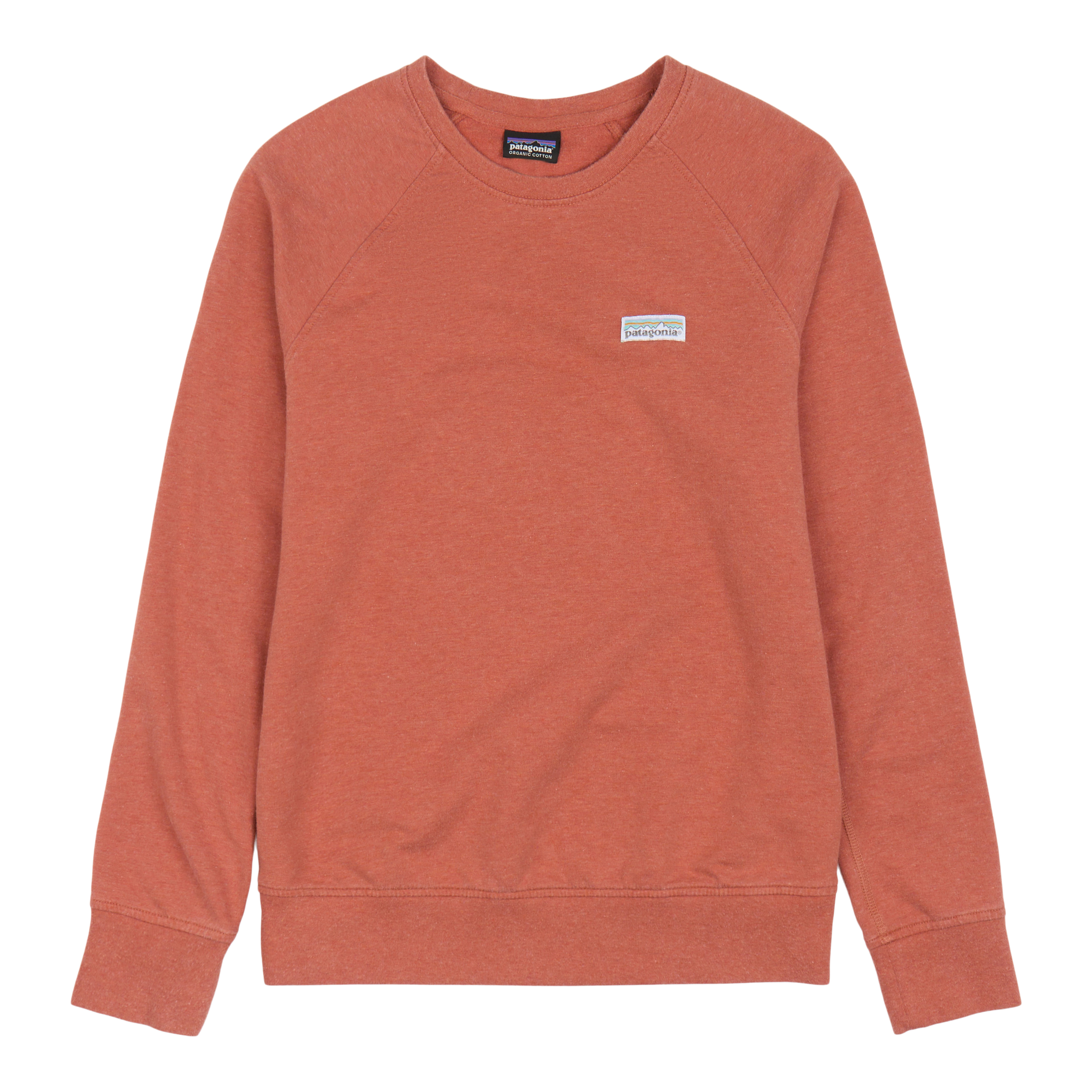 Patagonia Worn Wear Women's Pastel P-6 Label Ahnya Crew Sweatshirt Stone  Blue - Used