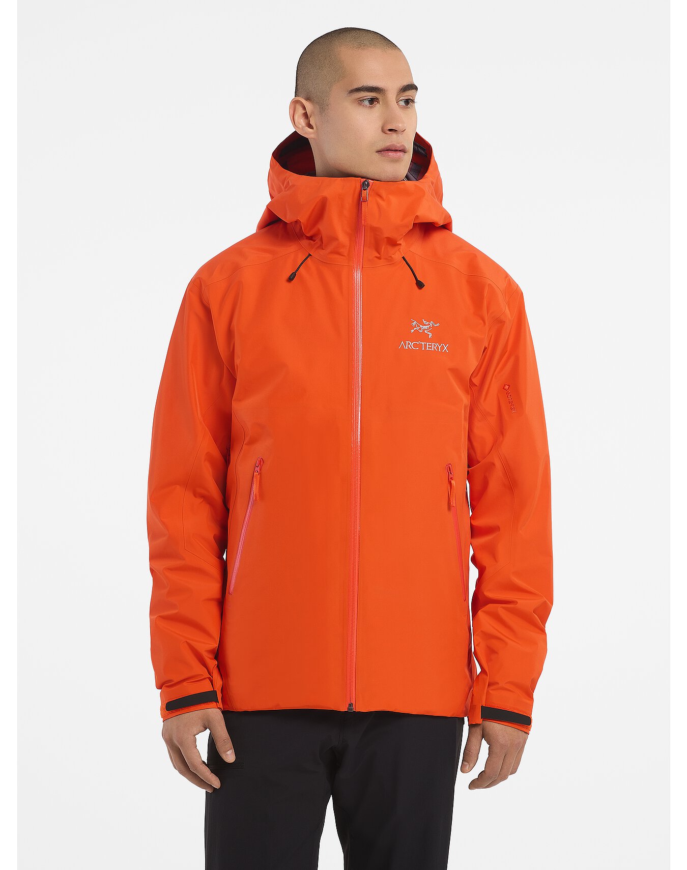 Used Beta LT Jacket Men's | Arc'teryx ReGEAR}