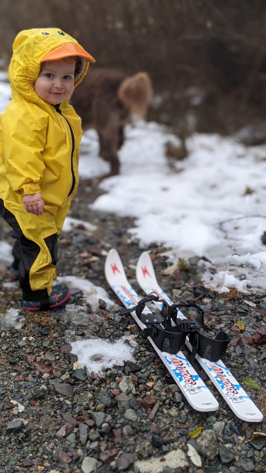 Used Madshus Snowpup Cross-Country Skis with Bindings | REI