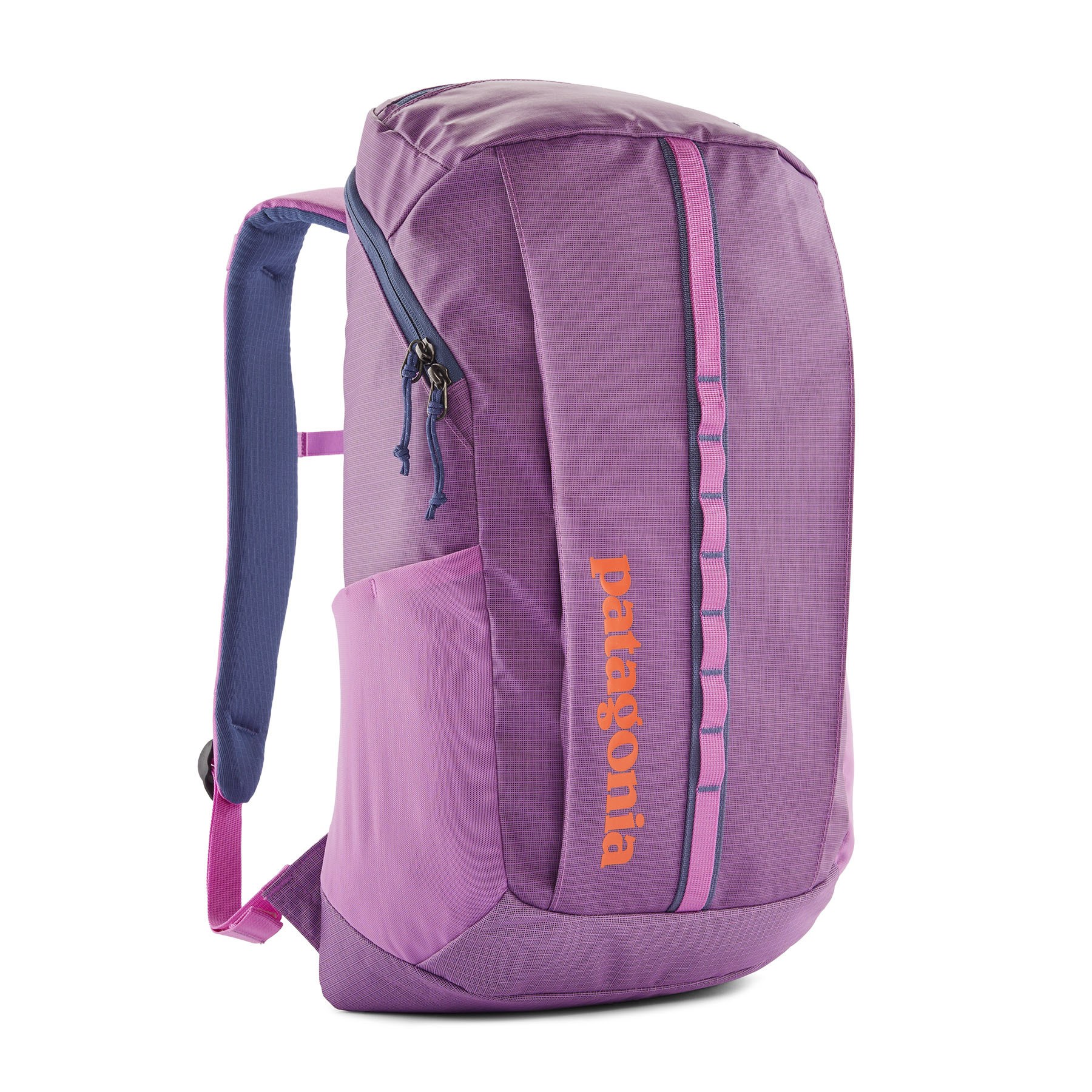 廃盤モデル 00's Patagonia Backpack 90s 00s Discontinued model] 2000s patagonia Backpack [Used Excellent