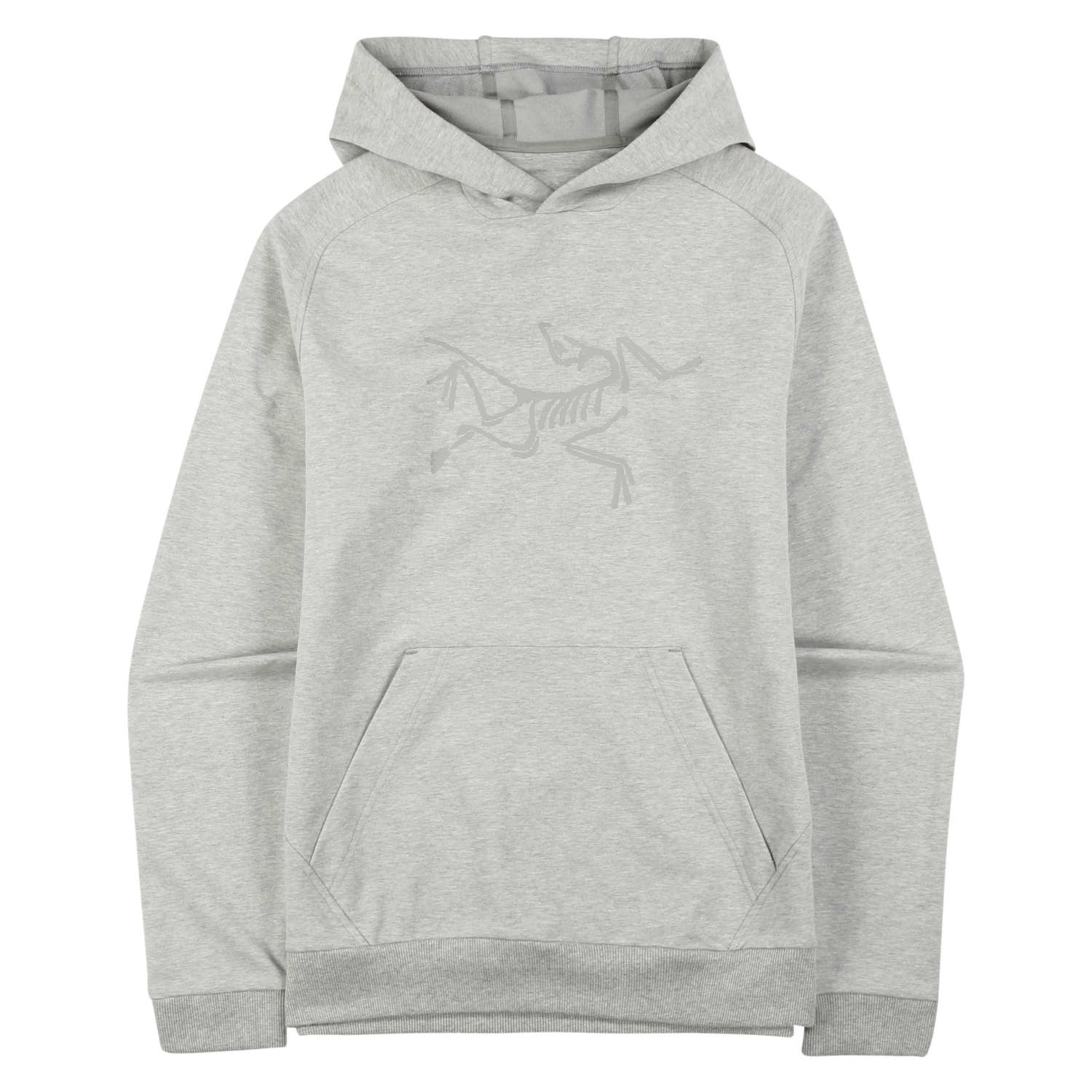 archaeopteryx pullover hoody