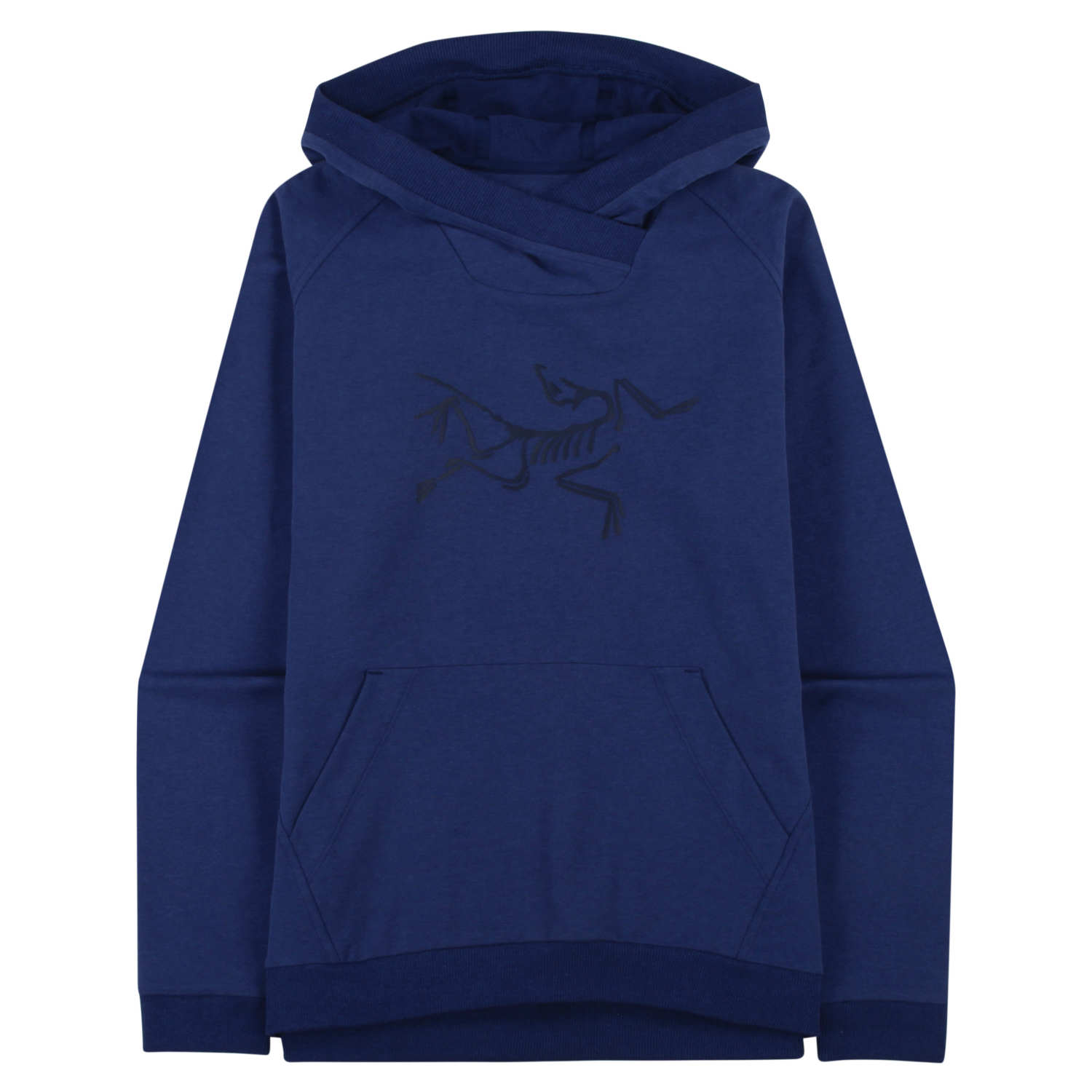 archaeopteryx pullover hoody men's