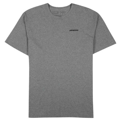 patagonia bison tee