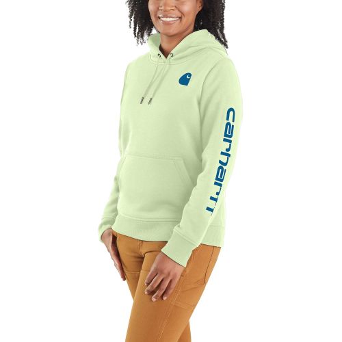 Carhartt Women's Graphic Hoodie - 102791 – JobSite Workwear