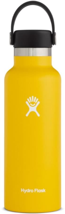 Hydro Flask Standard-Mouth Vacuum Water Bottle with Flex Cap - 18 fl. oz.