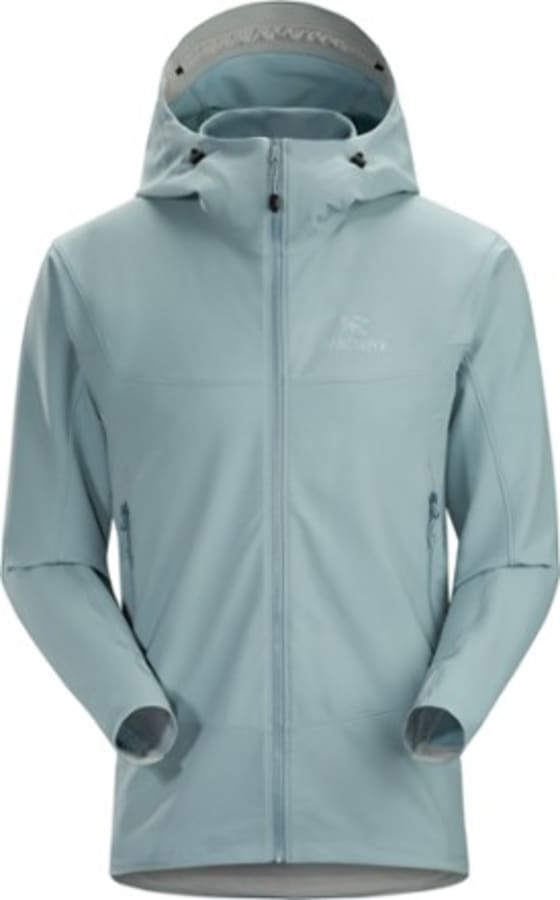 Arcteryx Gamma Lt Hoody