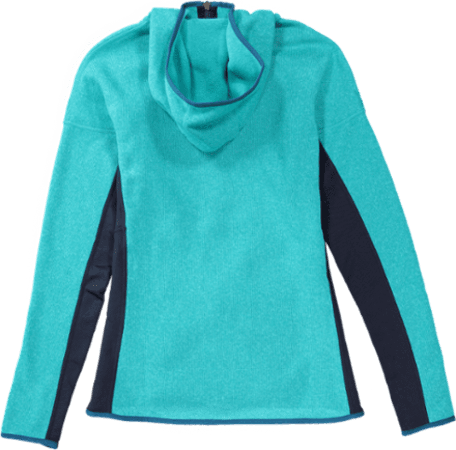 Used Patagonia Performance Better Sweater Hoodie | REI Co-op