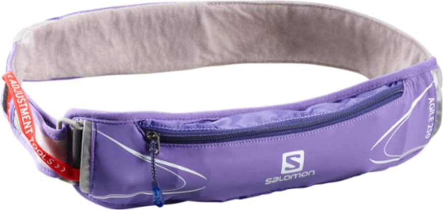 Pre-owned Belt In Purple